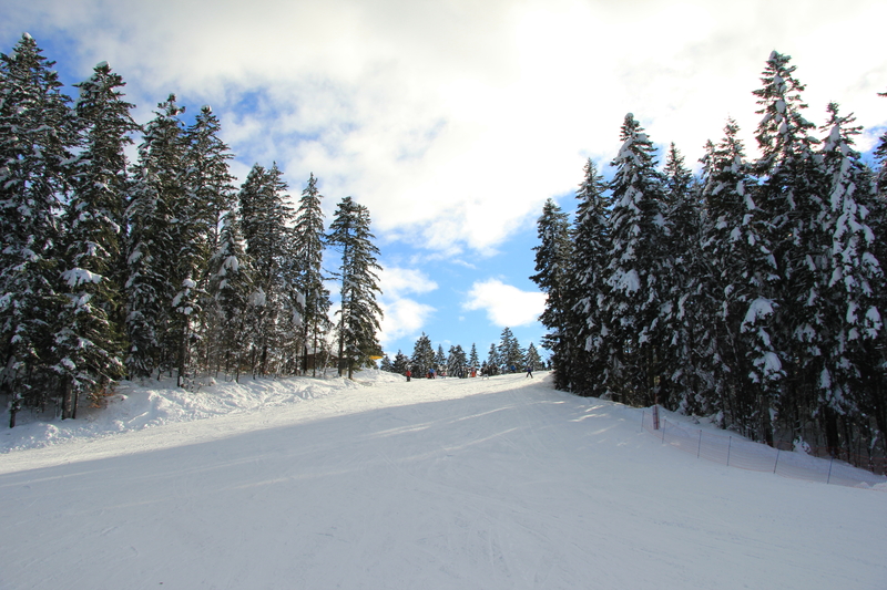 Alpe Cimbra: The Complete Guide